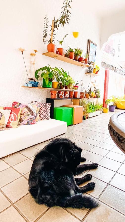 Hostal Zili Pernambuco -